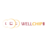 Well Chip Group Berhad