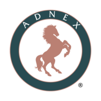 Adnex Group Berhad